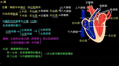 心臟循環口訣